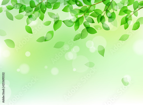 Fresh green and sunbeams background material
