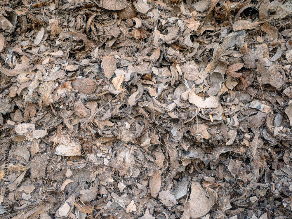 Coconut Shell Burn Fuel Process for Made Soybean Milk Coconut Shell Burn Fuel Process for Made Soybean Milk