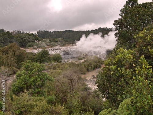 Volcanic landscape with geothermal pool, volcanic rock, trees and vegetation in Rotorua, New Zealand under gray cloudy sky