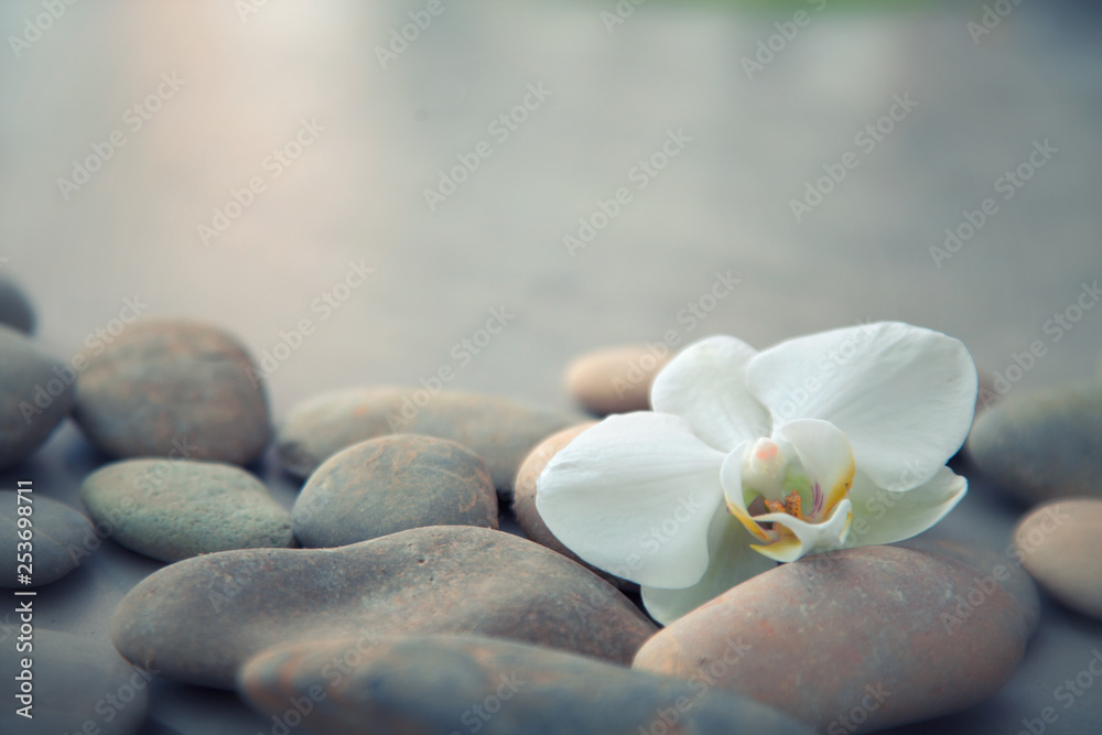 Spa concept with basalt stones and white orchid - obrazy, fototapety, plakaty 