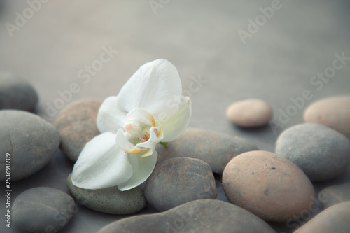 Spa concept with basalt stones and white orchid