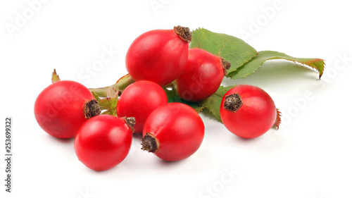 Rosehips (Rosa canina fruits) isolated on white background.