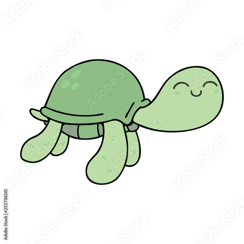 quirky hand drawn cartoon turtle
