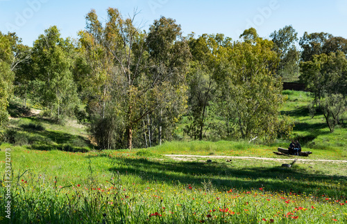 two hikers resting on a log in the wildflowers and lush grass in the ruhama forest in the western negev in israel