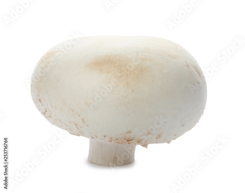 Fresh raw champignon mushroom on white background