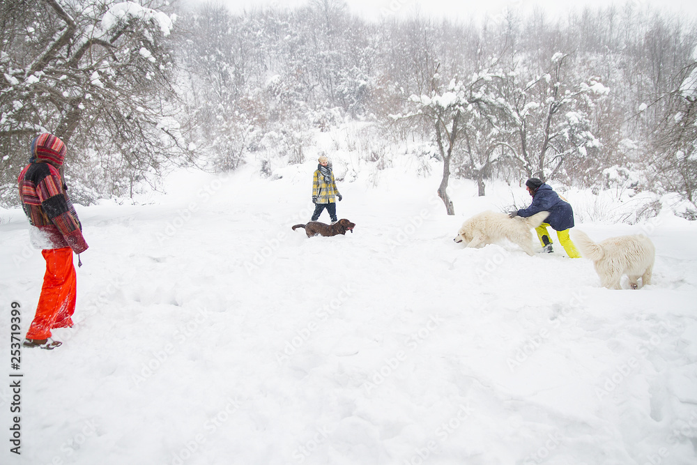 people train dogs in winter forest on snow