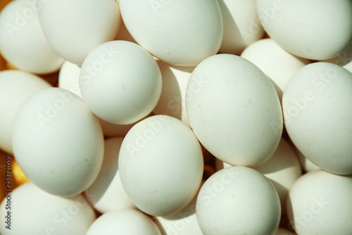 eggs isolated on white background