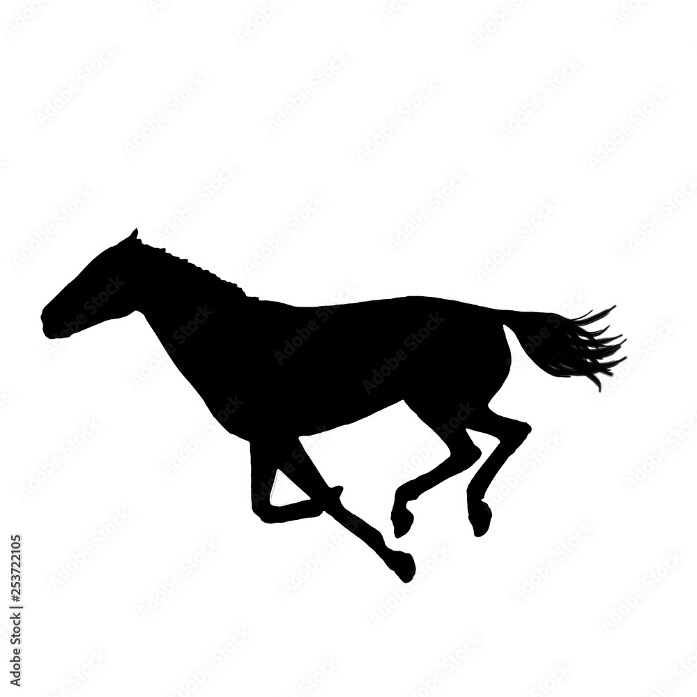 Naklejka silhouette of a horse isolated on white background