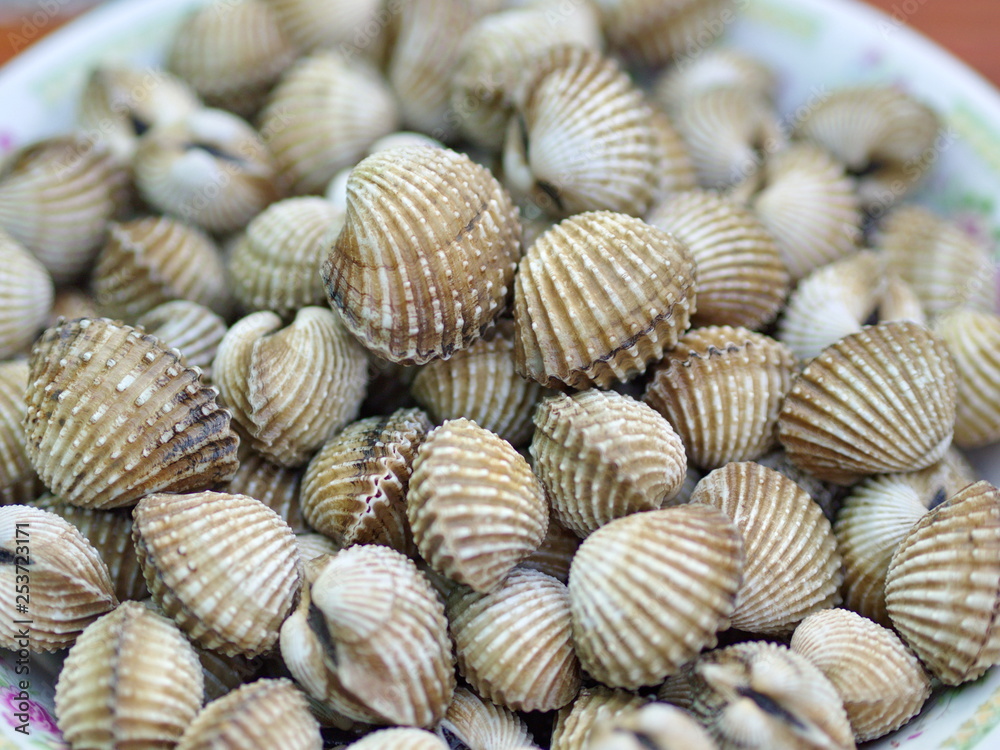 Closeup Parboiled cockles or steamed blanched clams - Northeast Thai Food 