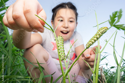 Curious girl explores swallowtail caterpillars. Nature and education concept.