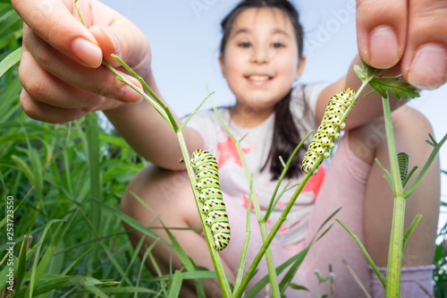 Curious girl explores swallowtail caterpillars. Nature and education concept.