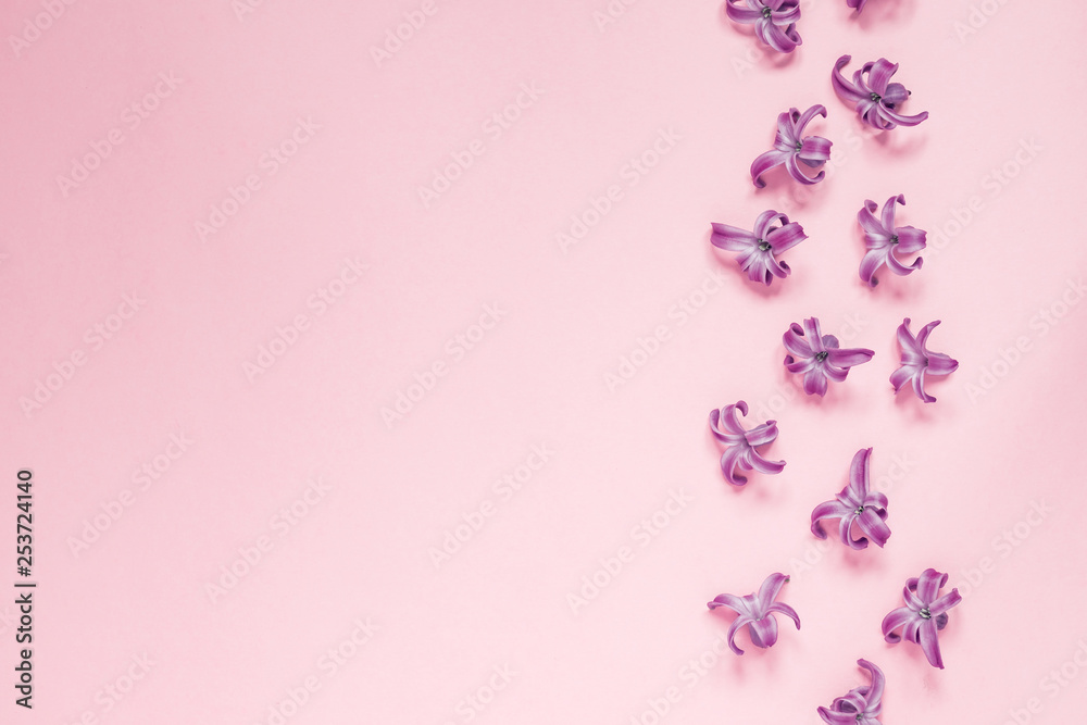 Floral beautiful pastel pink background. Purple small flowers of Hyacinth. Flat lay, top view, copy space Floral beautiful pastel pink background. Purple small flowers of Hyacinth. Flat lay, top view, copy space