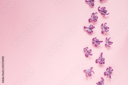 Floral beautiful pastel pink background. Purple small flowers of Hyacinth. Flat lay, top view, copy space © IKvyatkovskaya