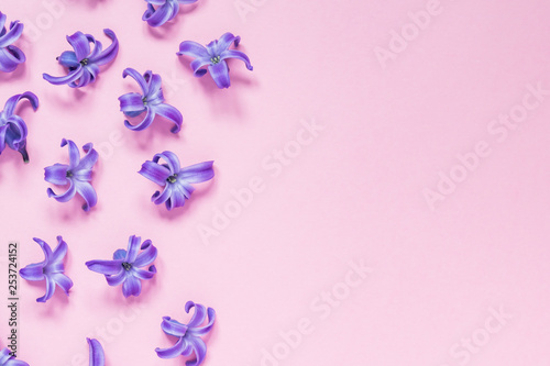 Floral beautiful pastel pink background. Purple small flowers of Hyacinth. Flat lay, top view, copy space © IKvyatkovskaya