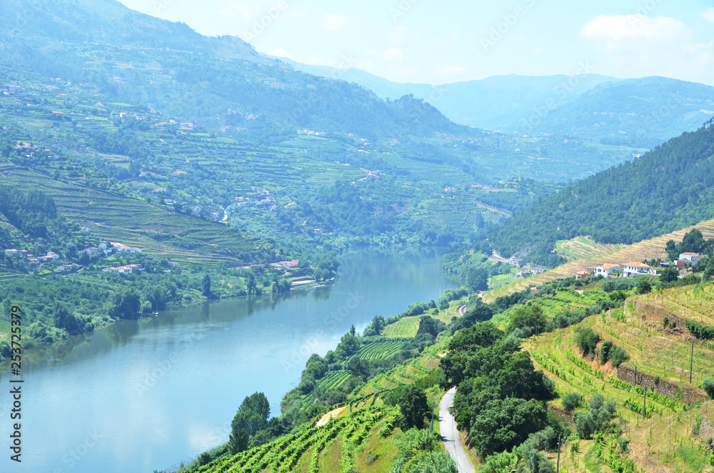 Vineyards in the valley of Douro river, Portugal