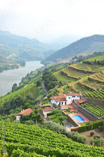 Vineyards in the valley of Douro river, Portugal