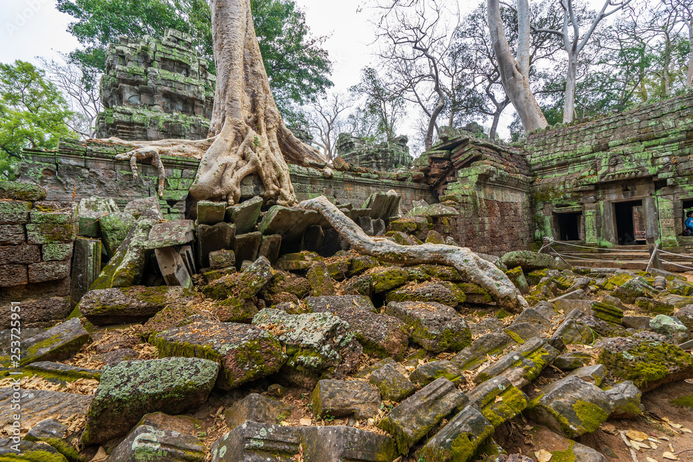 Ta Prohm Temple, Cambodia: Tree grown into building Ta Prohm Temple, Cambodia: Tree grown into building