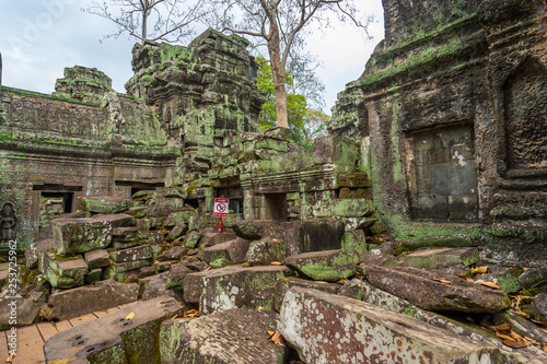 Ruins of Ta Prohm temple, Cambodia photo