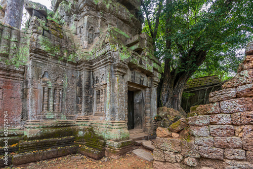 Fototapeta Naklejka Na Ścianę i Meble -  Ruins of Ta Prohm temple, Cambodia