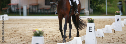 Dressage rectangle at the letter E with horse in the cut-out on the hoof-beat.. photo