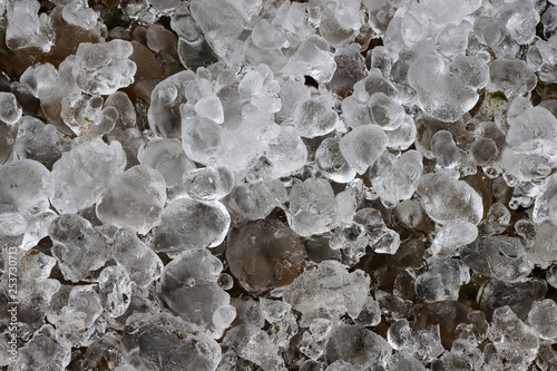 Frost near the stream in the winter.