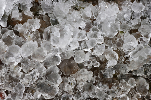 Frost near the stream in the winter.