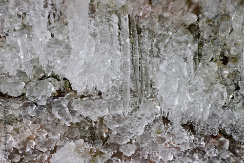 Frost near the stream in the winter.