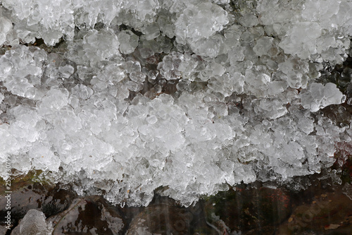 Frost near the stream in the winter.