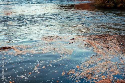 Canvas Print foam on polluted  water  with  rubbish in river