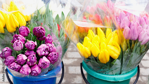 Colorful tulips, roses and other flowers in pots at entry