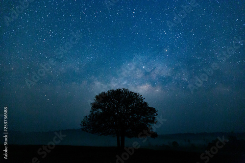 Trees against starry sky with Milky Way Long exposure Photograph with grain.