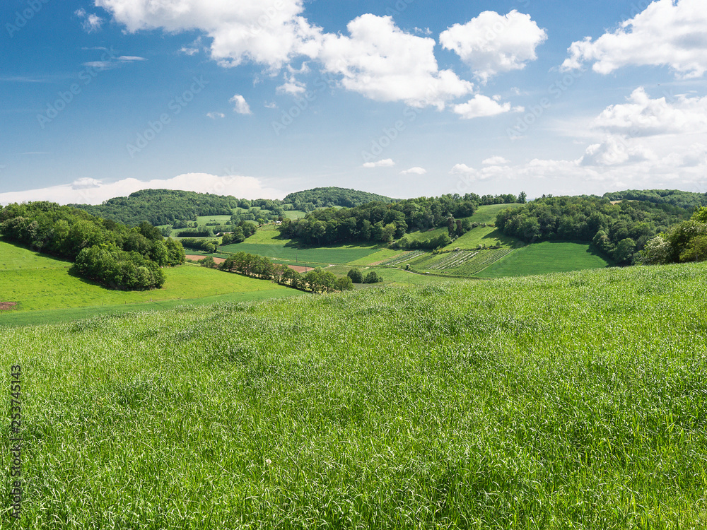 Obraz premium Champs