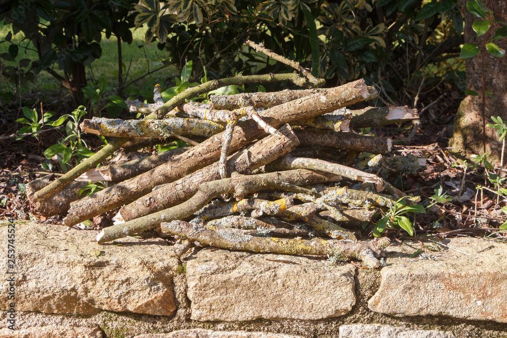 Heap of branch in a garden after trimming a tree Heap of branch in a garden after trimming a tree