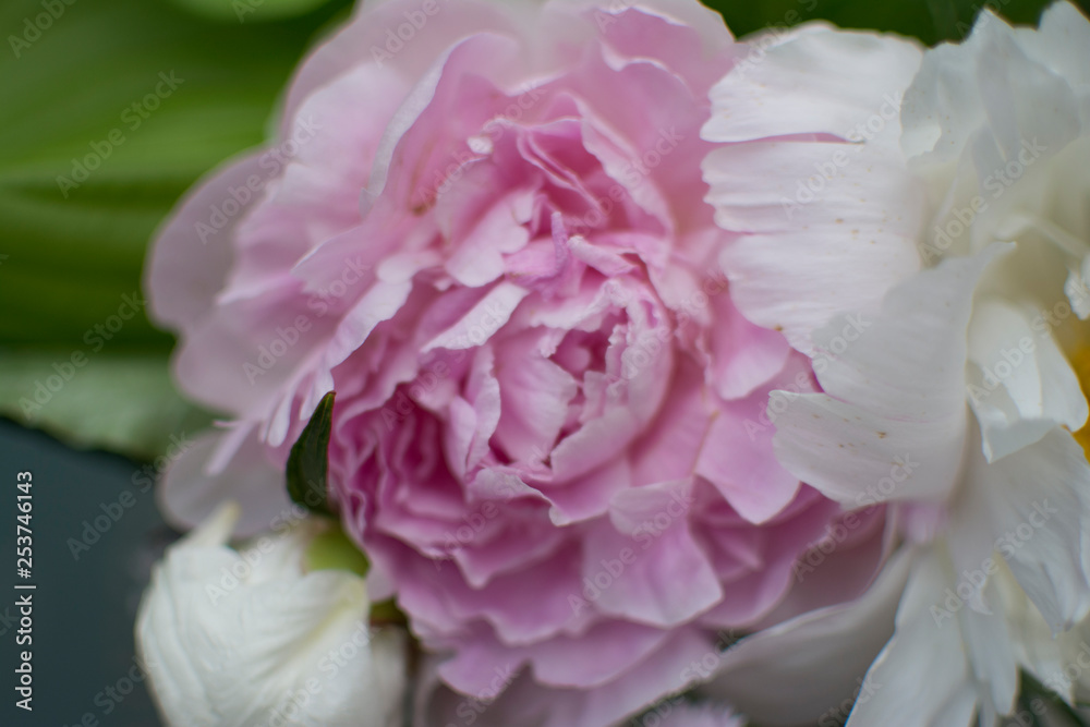 Spring Peony Bouquet