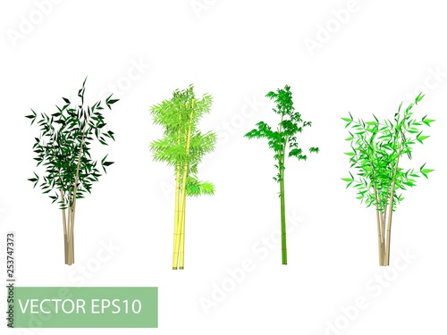 green tree isolated on white background