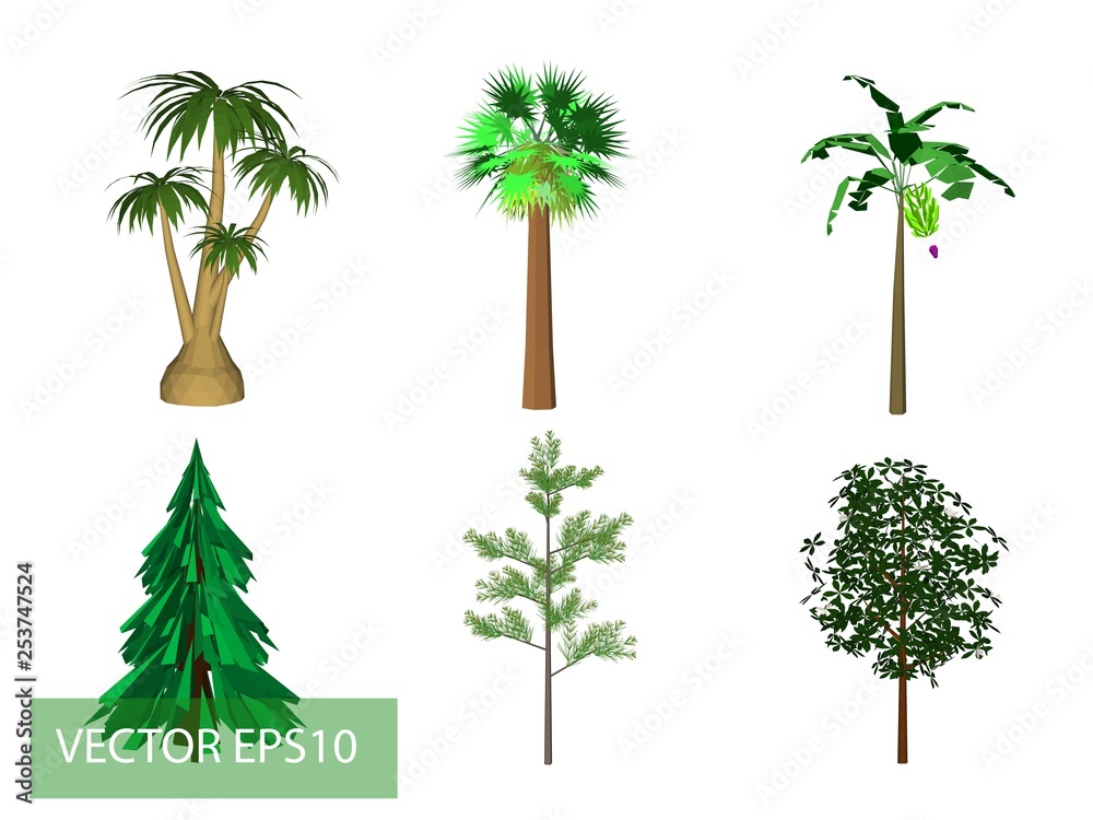 Obraz premium palm tree 