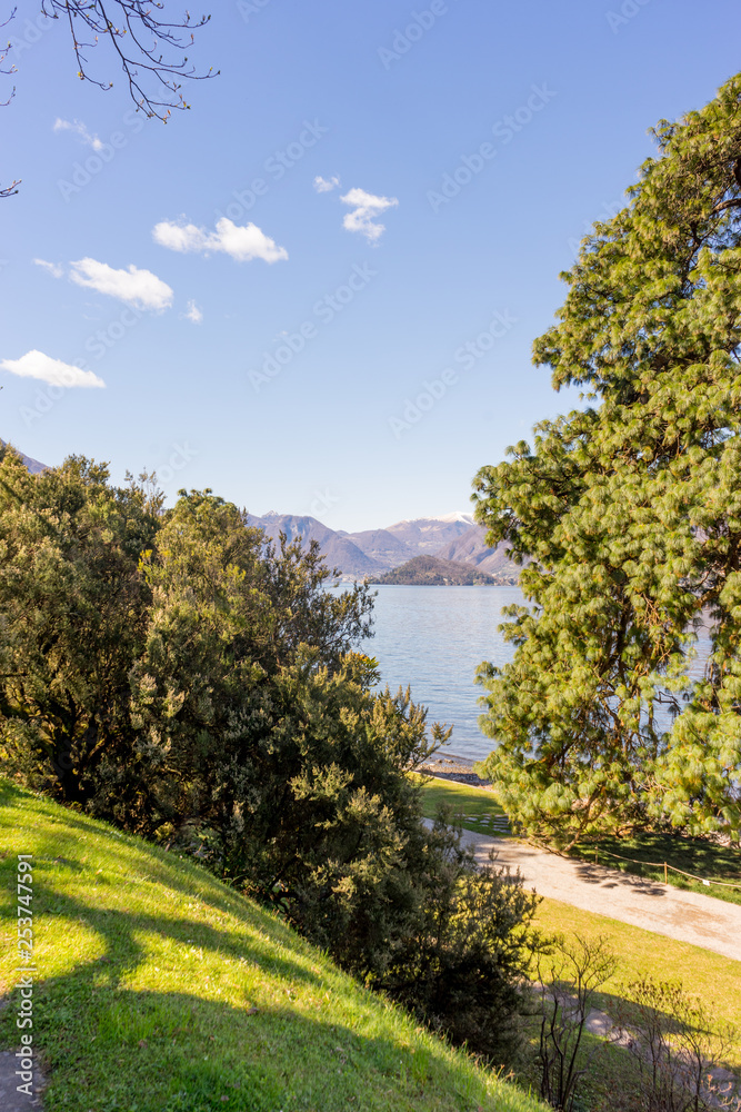 Italy, Bellagio, Lake Como, a tree next to a body of water