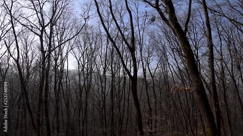 The Hoia-Baciu Forest, one of the World’s Most Haunted Forest situated near Cluj-Napoca, Romania and is often referred to as the Bermuda Triangle of Romania. Tilt down video