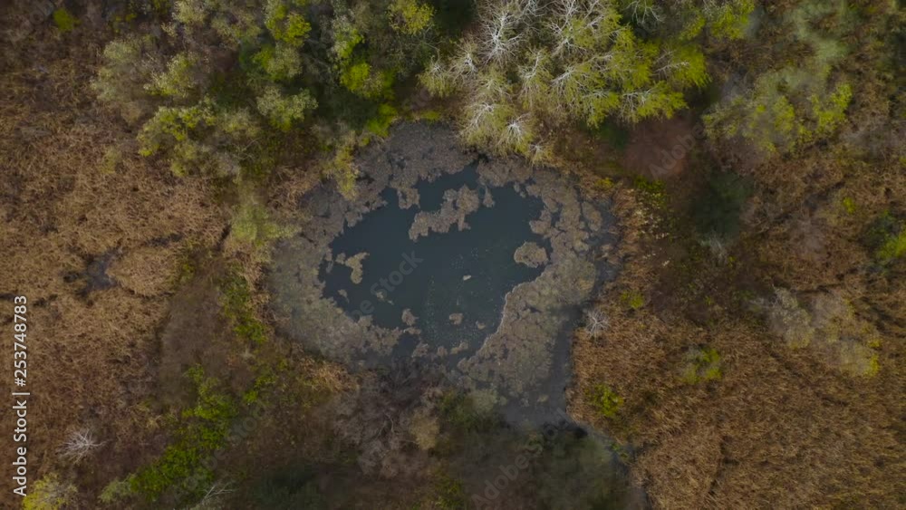 Straight Lookdown of Small Pond in Rural Wisconsin during Late Fall Straight Lookdown of Small Pond in Rural Wisconsin during Late Fall