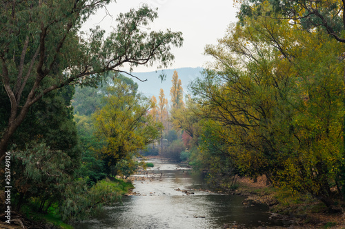 Podobny obraz