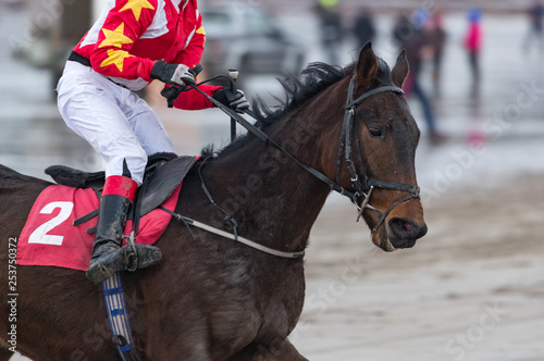Close oup on race horse and jockey running on the beach