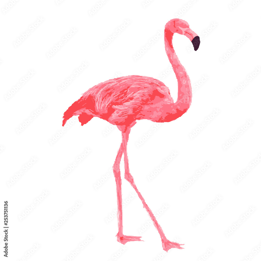 Obraz premium Pink flamingo watercolor vector illustration on white background