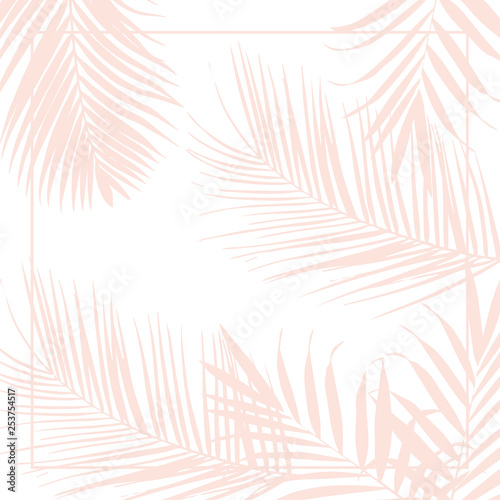 Vector tropical pink palm leaves on white background