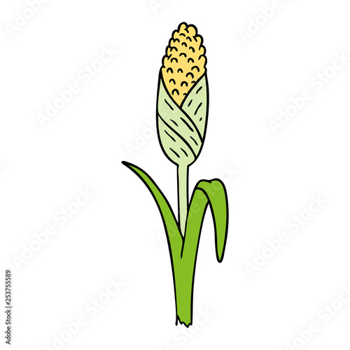 cartoon doodle of fresh corn on the cob