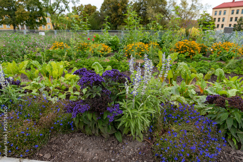 open garden in the town of Mariestad