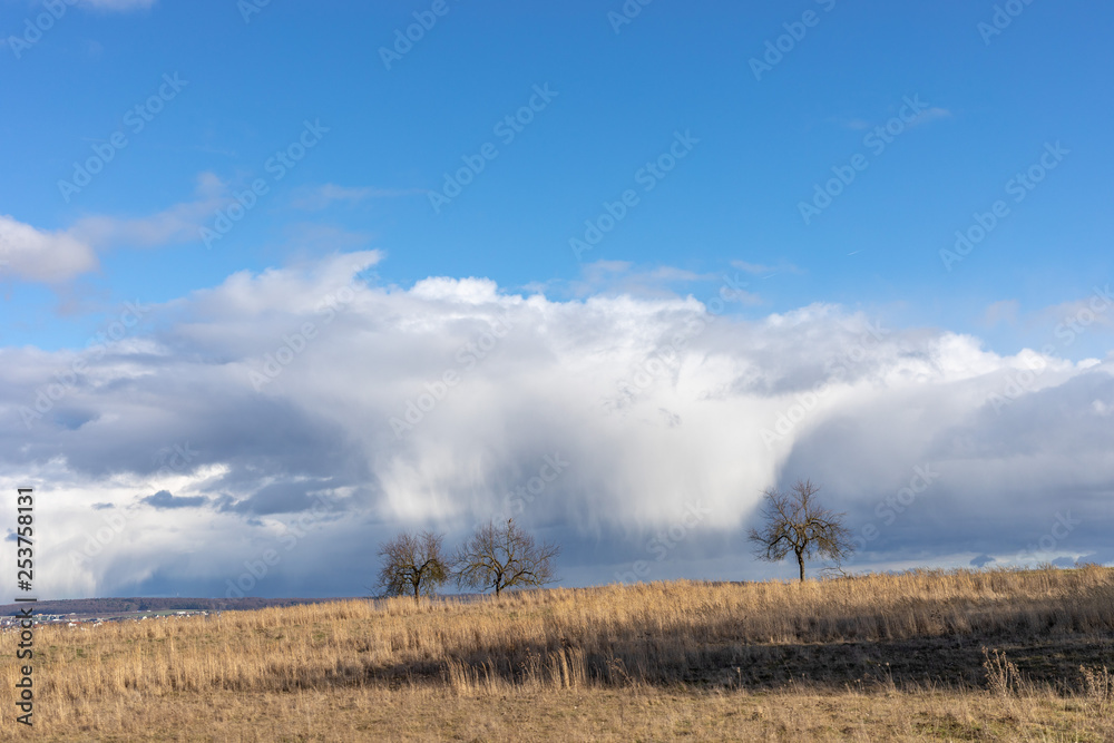 Fototapeta premium Green fields and blue skies over hessen in Germany