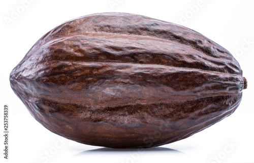 Brown cocoa pod isolated on a white background.