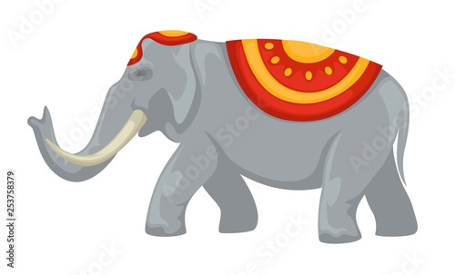 Indian elephant tusks and clothing with ornament wild animal