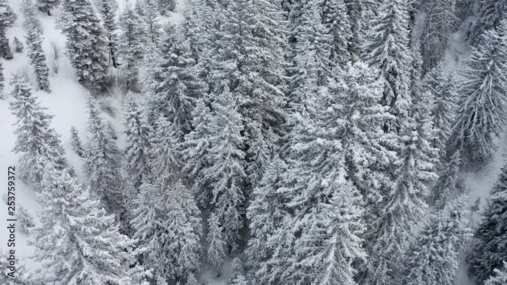 Flying over a trailhead the morning after a big snowstorm. Flying over a trailhead the morning after a big snowstorm.