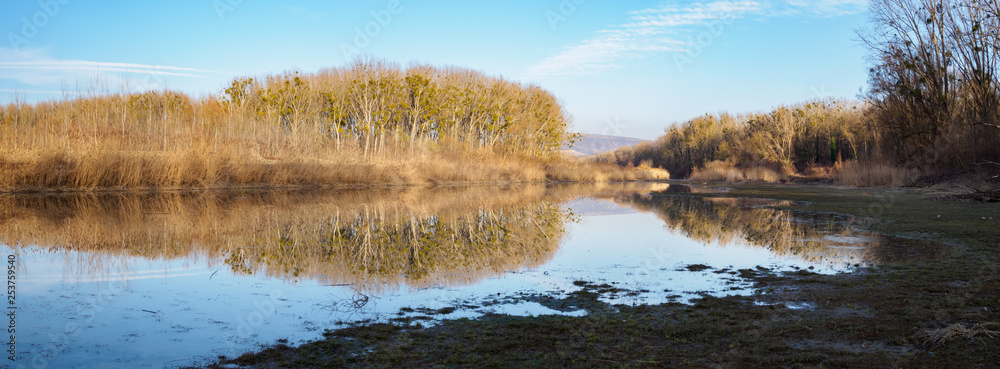 Nationalpark Donauauen Fluss-Nebenarm mit Mistelzweigen